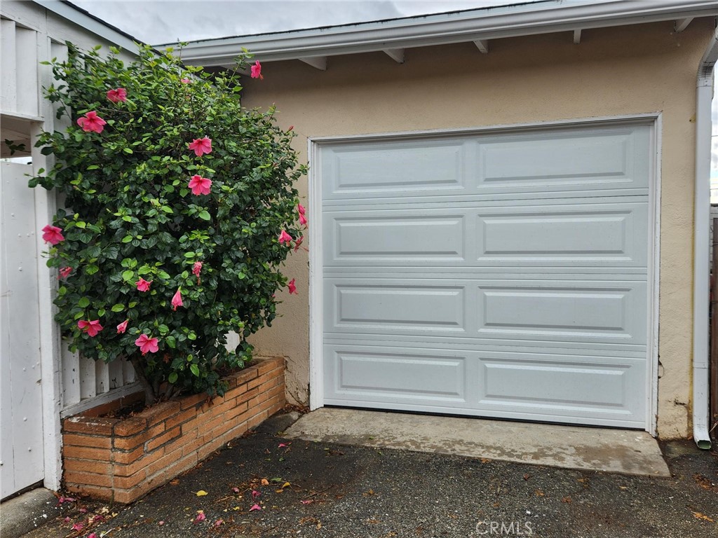 MLS #TR25261260 image #21