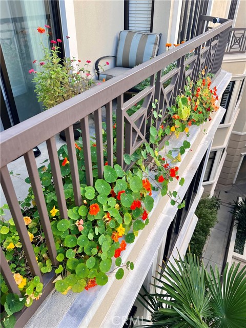 MLS #TR25262347 image #20