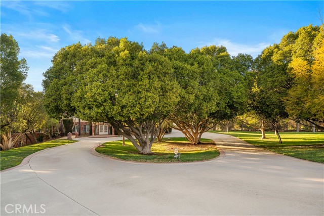 MLS #TR25262874 image #2