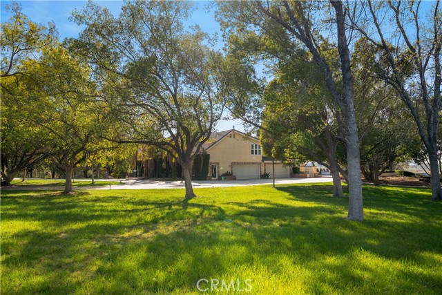 MLS #TR25262874 image #29