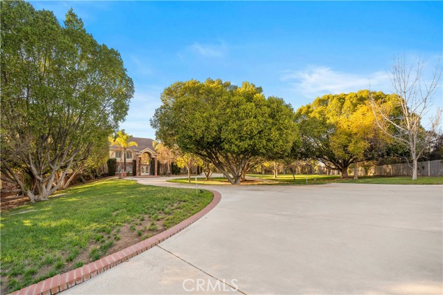 MLS #TR25262874 image #3