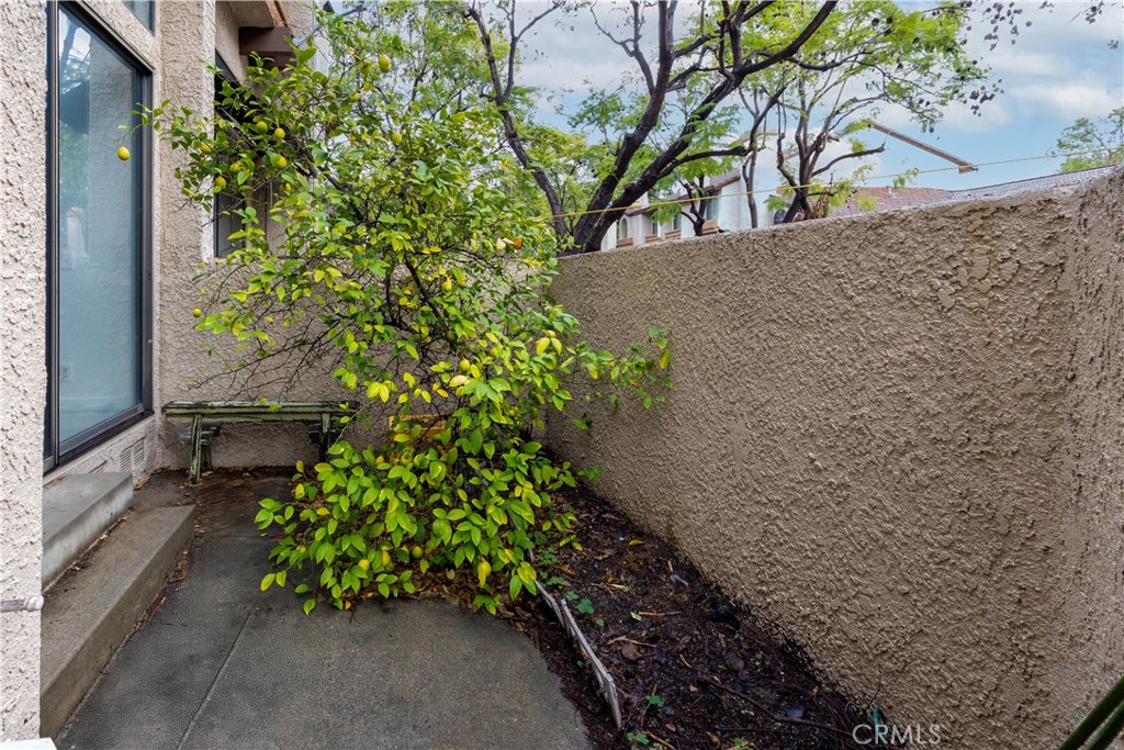 MLS #TR25264160 image #4