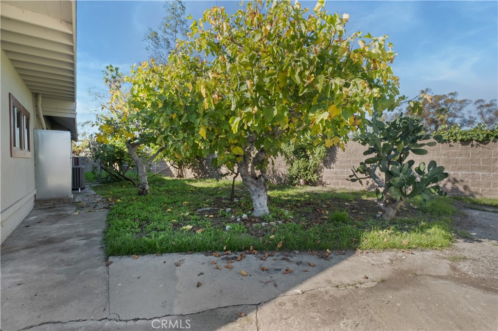 MLS #TR25264873 image #40