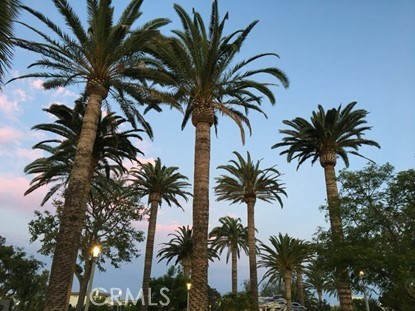 MLS #TR25265363 image #29