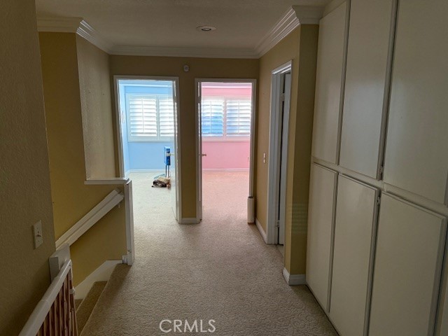 MLS #TR25265930 image #13