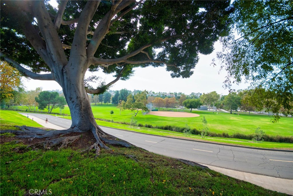 MLS #TR25266034 image #37