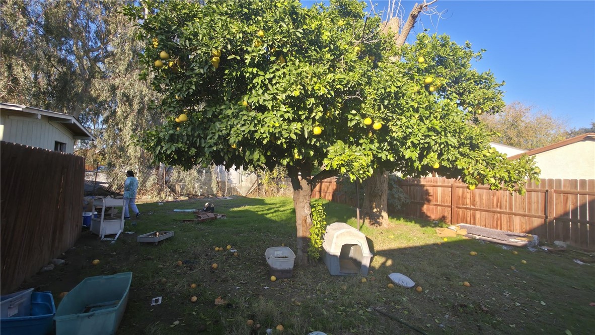 MLS #TR25266052 image #3