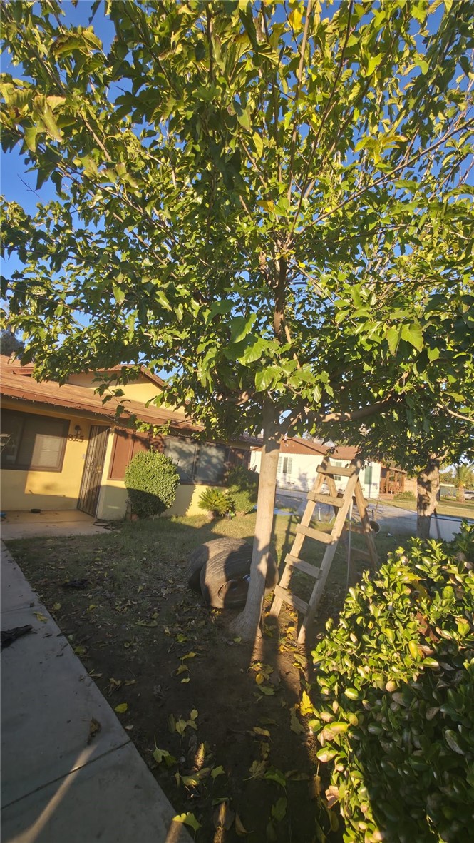 MLS #TR25266052 image #6