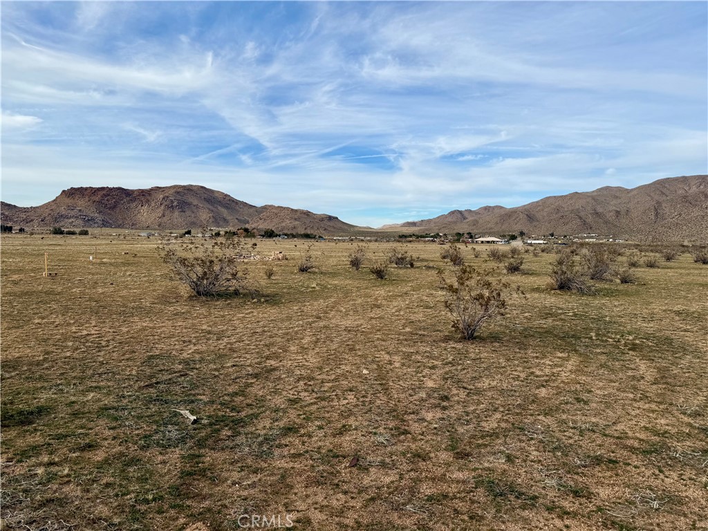 MLS #TR25267483 image #5