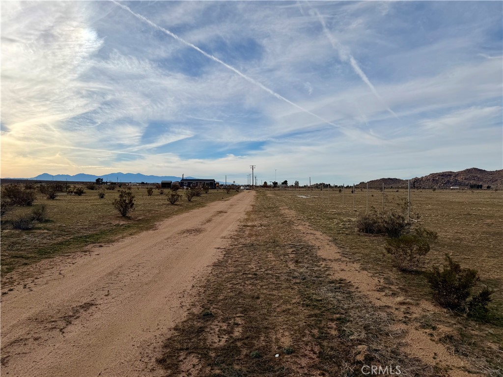 MLS #TR25267483 image #6