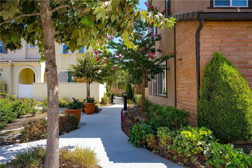 MLS #TR25267553 image #4