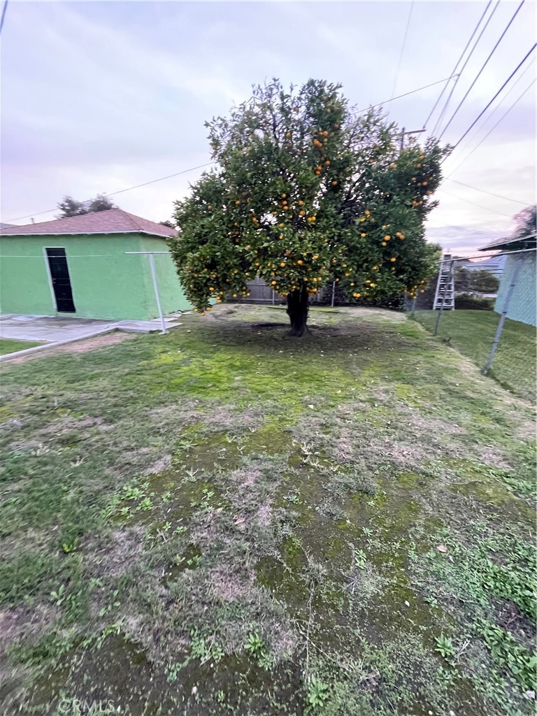 MLS #TR25270094 image #28