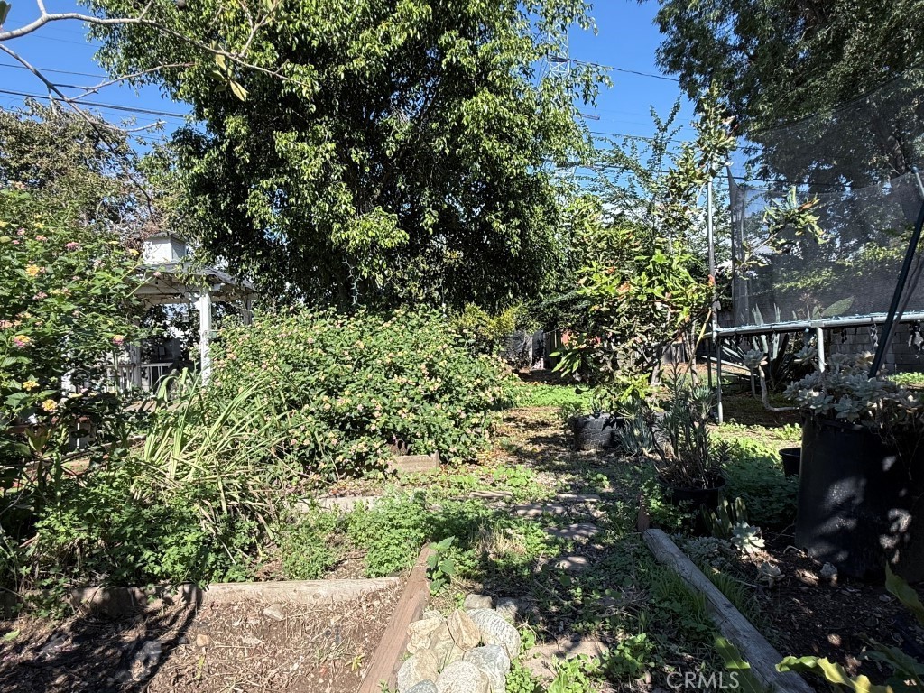 MLS #TR25273493 image #10