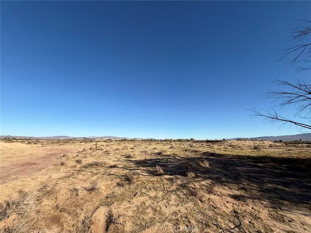 MLS #TR25273824 image #3