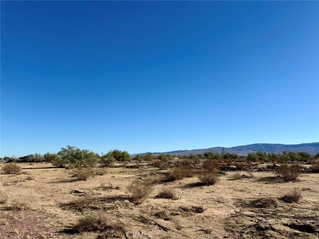 MLS #TR25273824 image #8