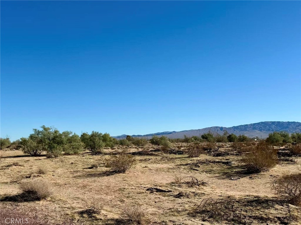 MLS #TR25273824 image #9