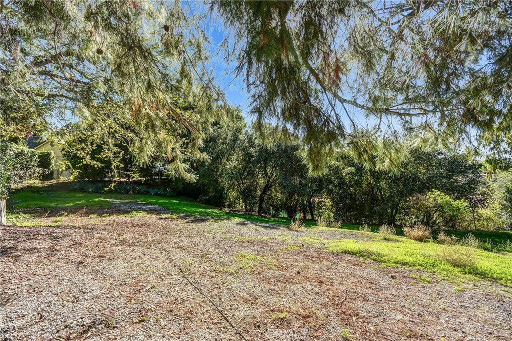 MLS #TR25274310 image #45