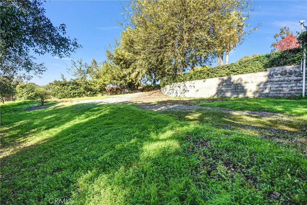 MLS #TR25274310 image #46