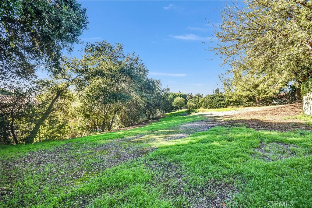 MLS #TR25274310 image #47