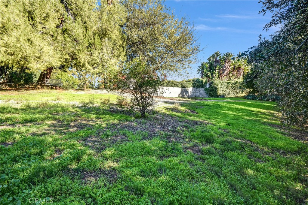 MLS #TR25274310 image #48