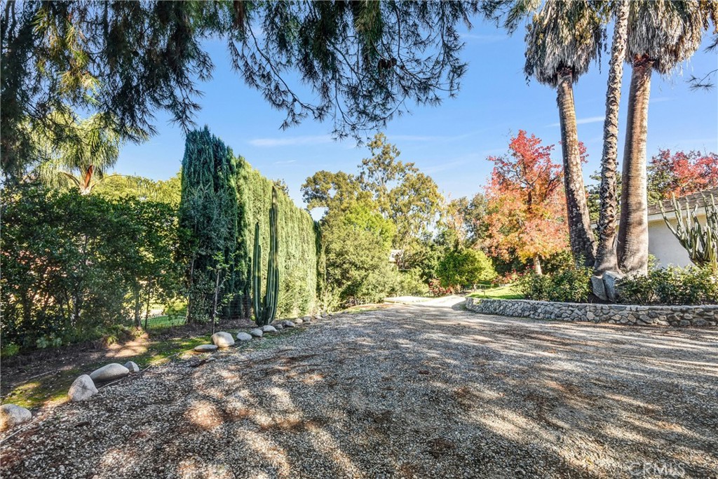 MLS #TR25274310 image #50