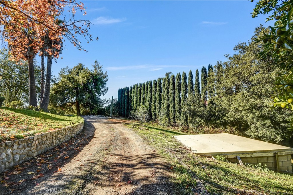 MLS #TR25274310 image #52