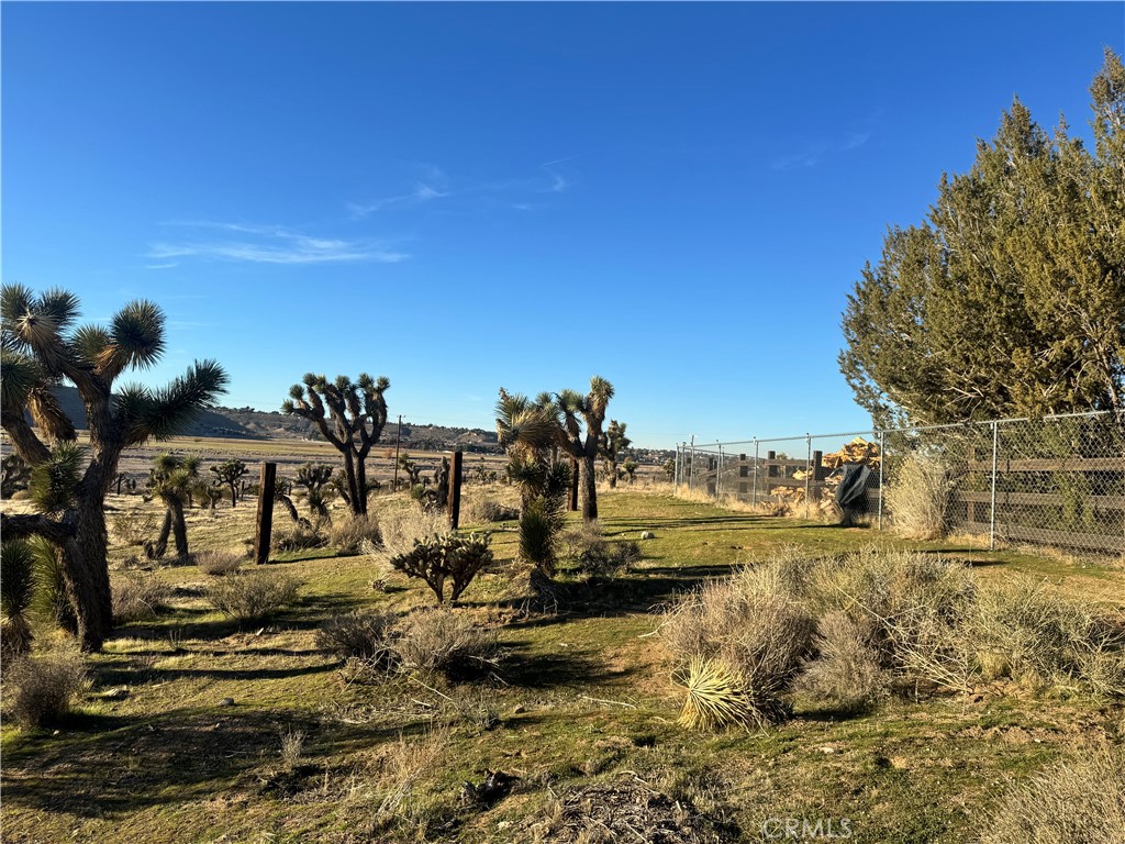 MLS #TR25274399 image #3