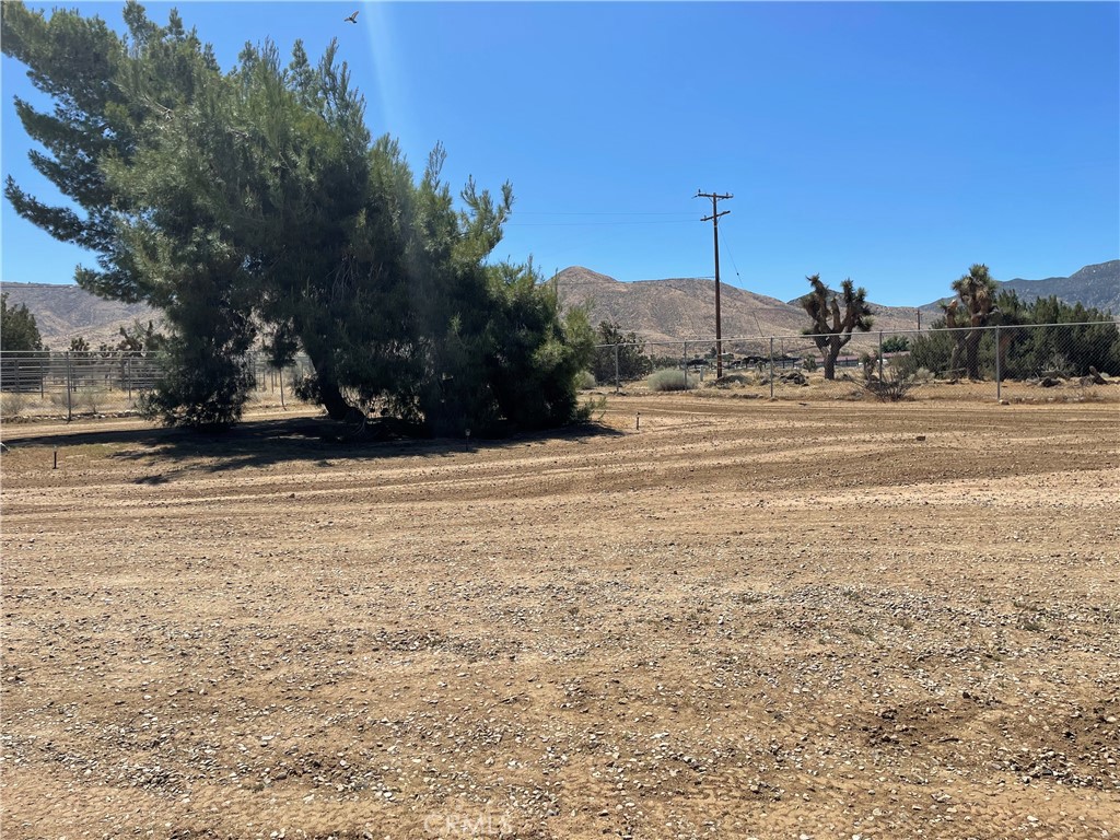 MLS #TR25274399 image #55