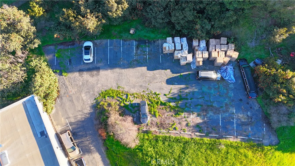 MLS #TR25274581 image #13