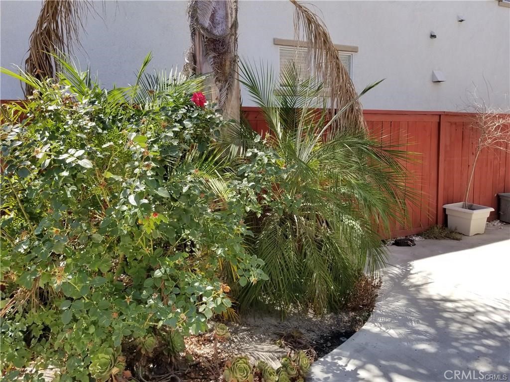 MLS #TR25274741 image #3