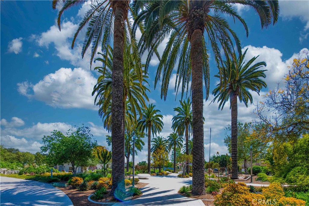 MLS #TR25277434 image #45