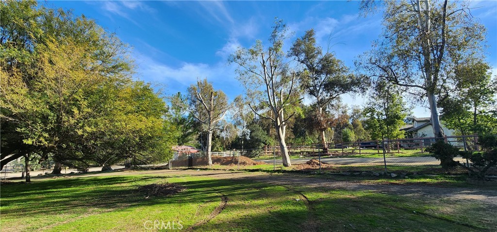 MLS #TR25278427 image #12