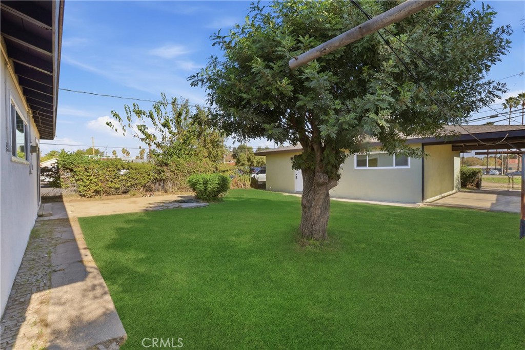 MLS #TR25278499 image #33