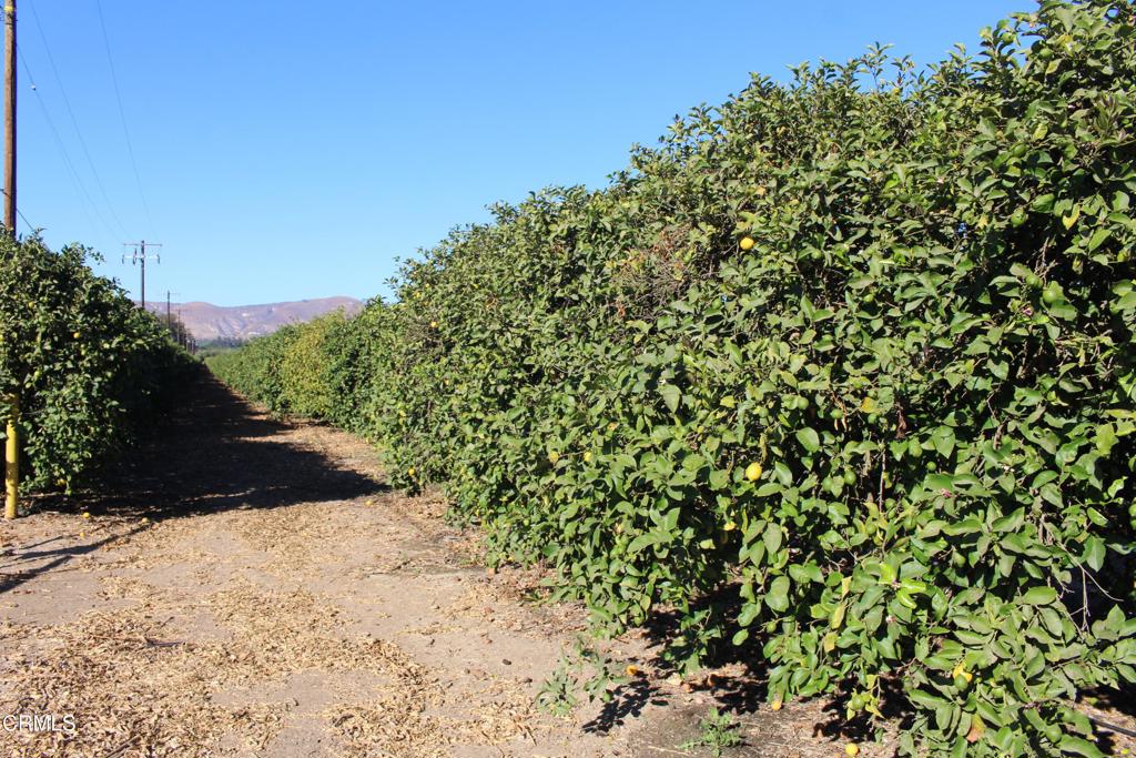 MLS #V1-26429 image #3