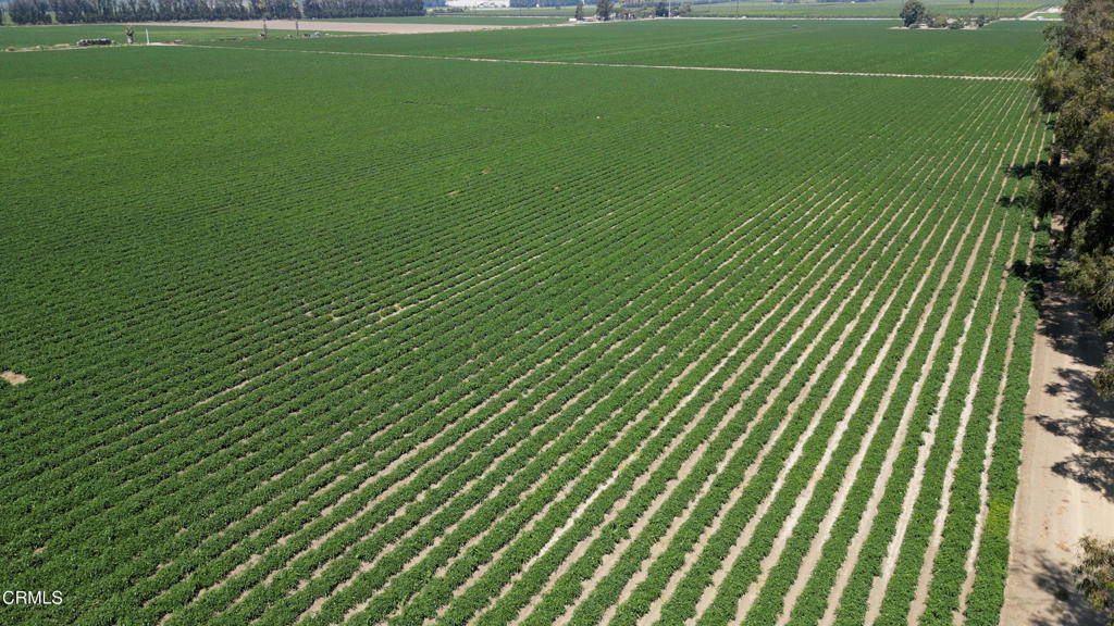 MLS #V1-26649 image #10