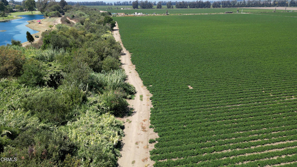 MLS #V1-26649 image #11