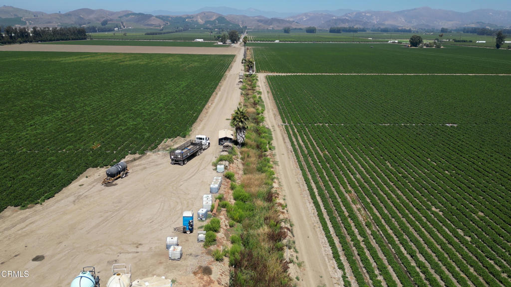 MLS #V1-26649 image #13