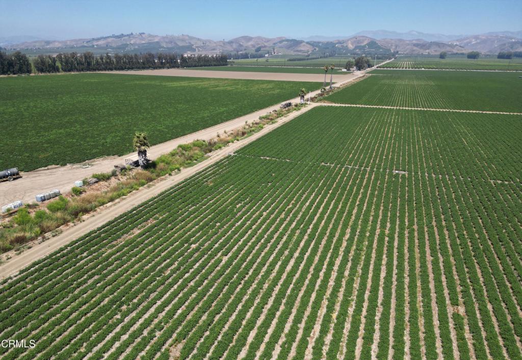 MLS #V1-26649 image #14