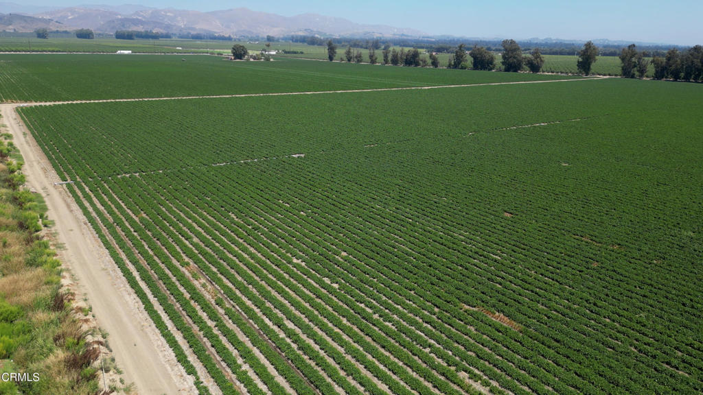 MLS #V1-26649 image #15