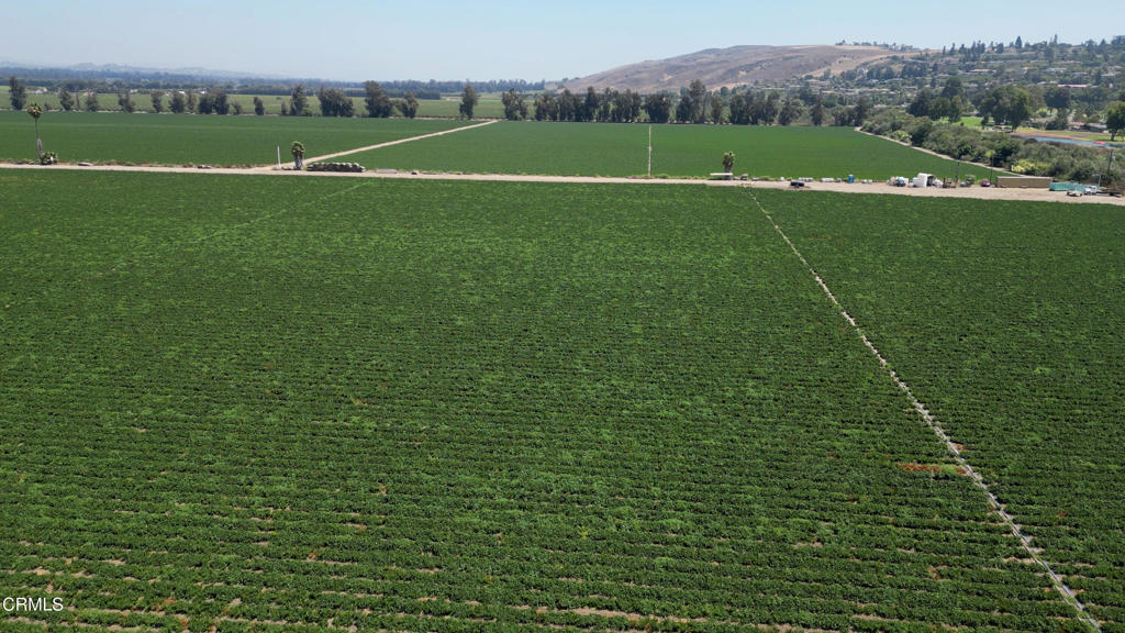 MLS #V1-26649 image #16