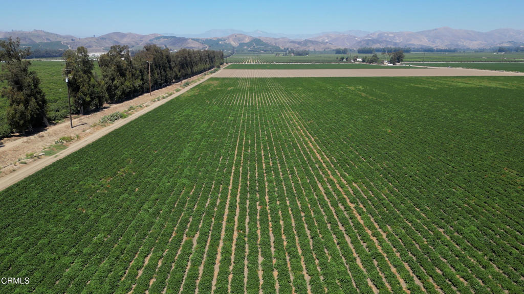 MLS #V1-26649 image #17