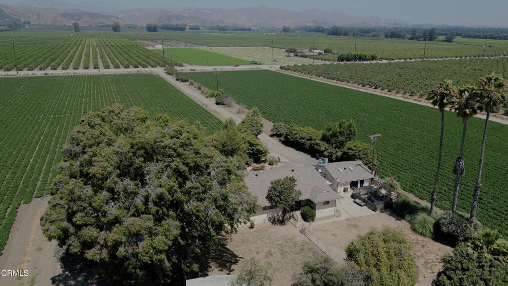 MLS #V1-26649 image #4