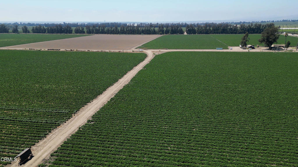 MLS #V1-26649 image #5