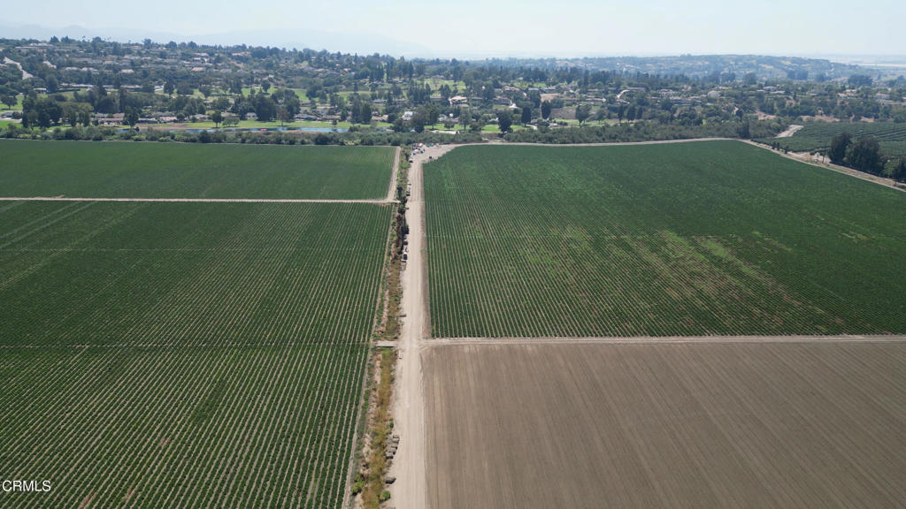 MLS #V1-26649 image #7