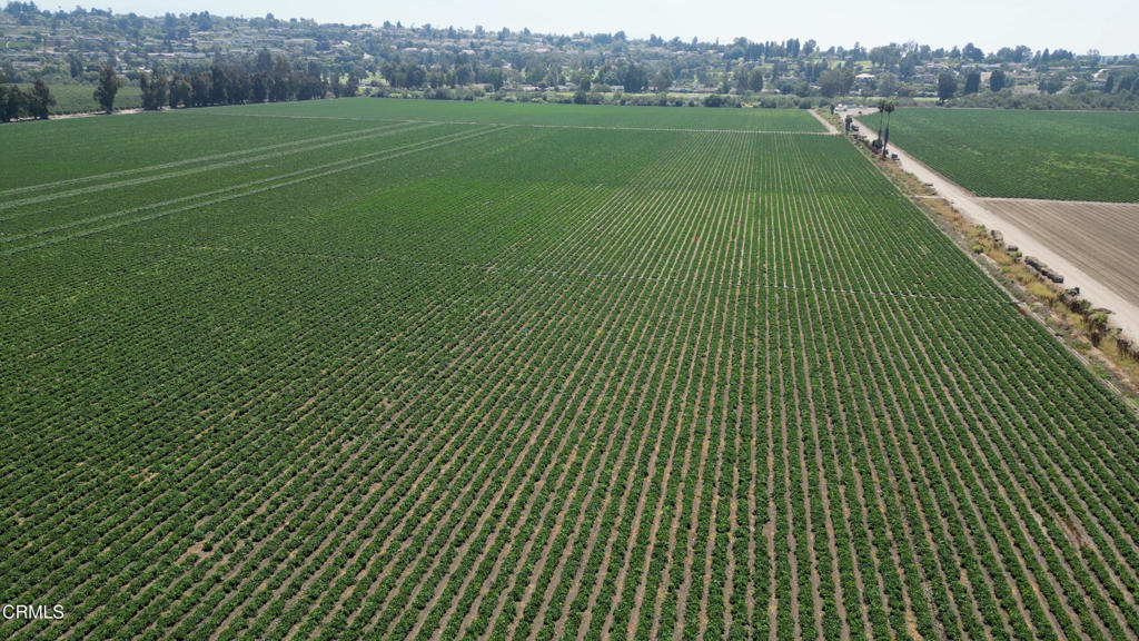 MLS #V1-26649 image #8