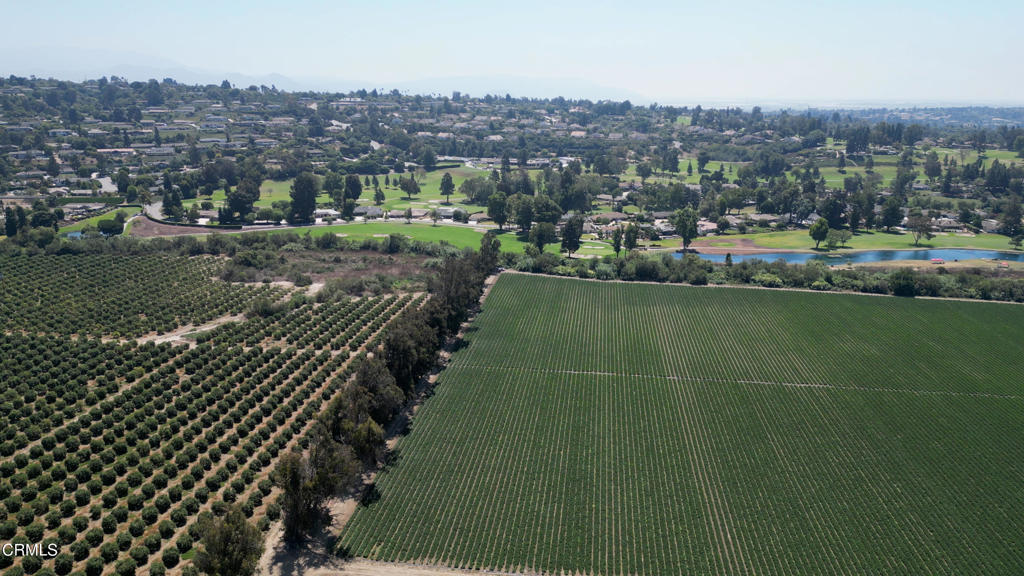 MLS #V1-26649 image #9