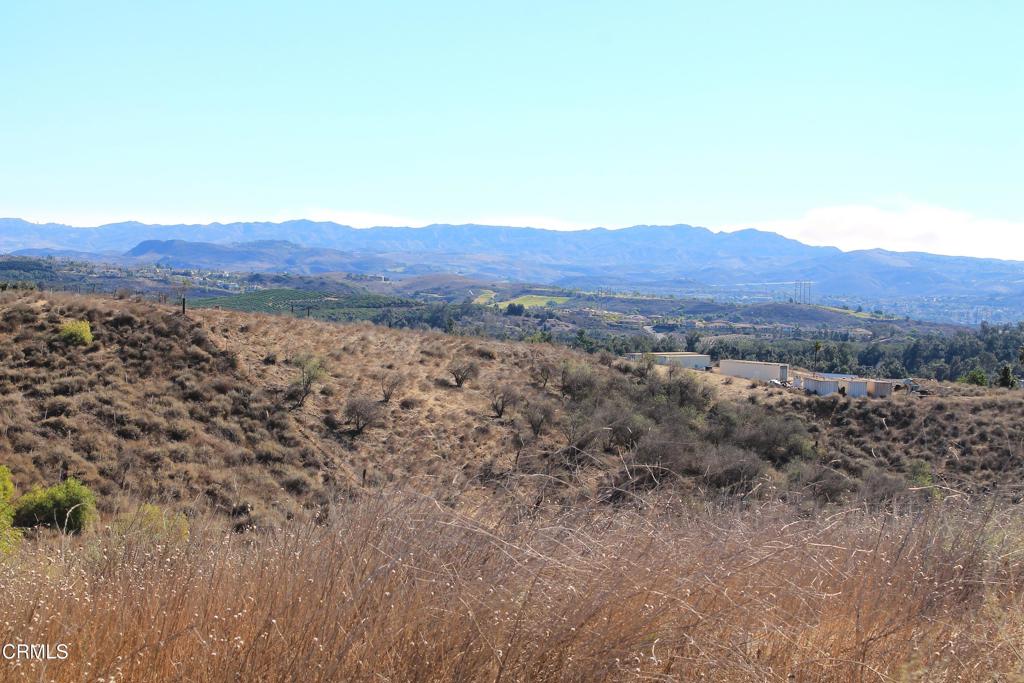 MLS #V1-27622 image #2