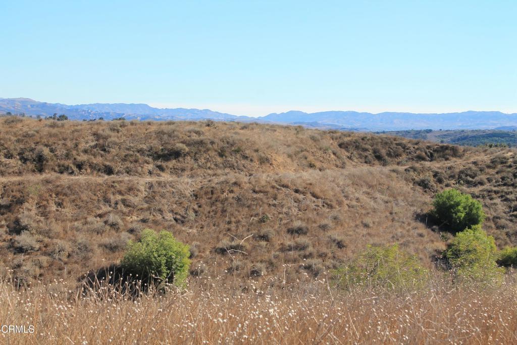 MLS #V1-27622 image #3