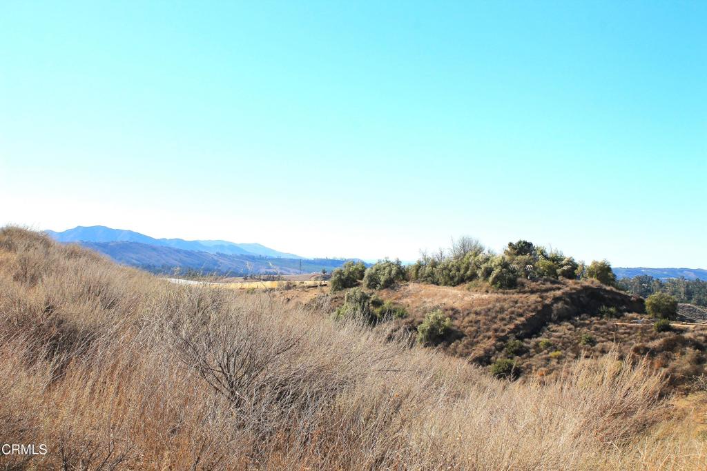 MLS #V1-27622 image #4