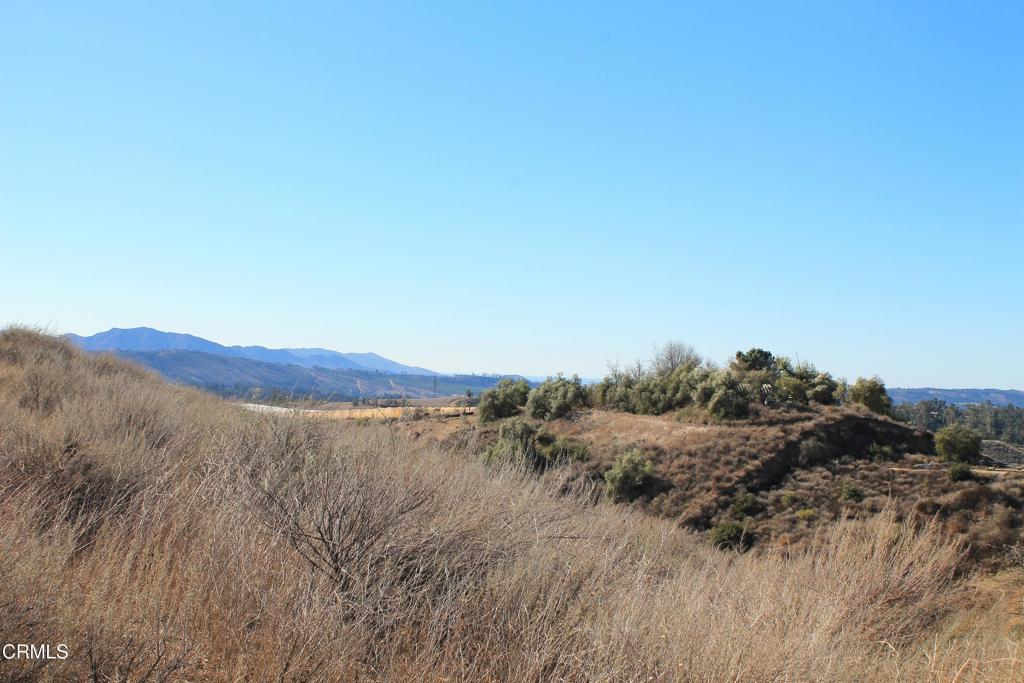 MLS #V1-27622 image #5